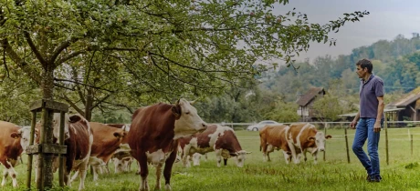 Zink für dein Immunsystem: Entdecke die Vorteile