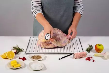 Lege die Pute auf die Bratpfanne oder den Bratrost