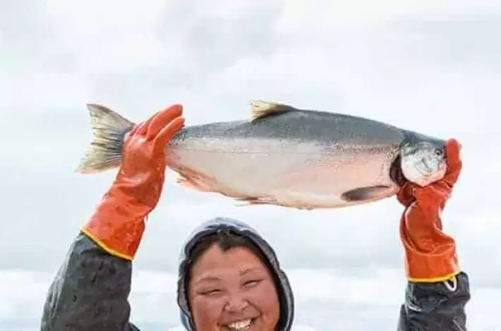 Wilder Keta-Lachs | Informationen zur Fleischrasse | Kaufnekuh