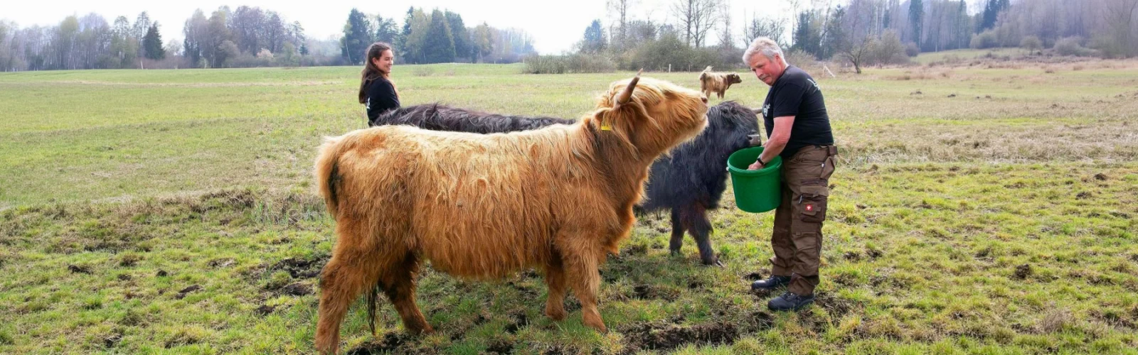 Weidegemeinschaft Familie Matscher, Otterbach und Reichmann