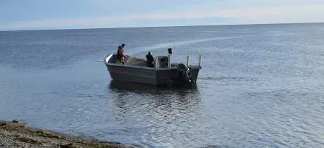 Kotzebue