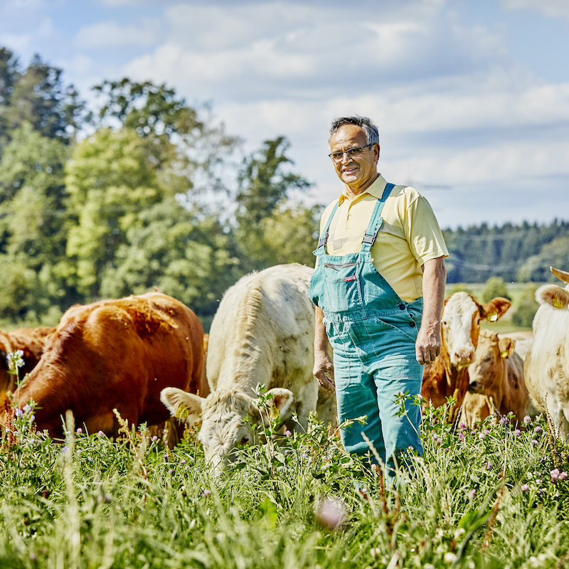 Wir wählen die Bauern aus