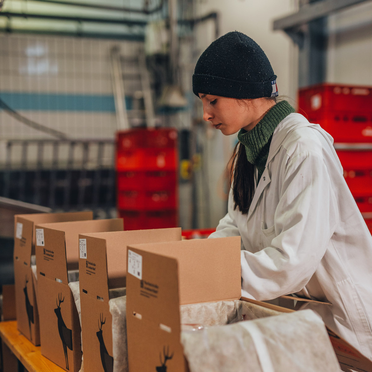 Wir machen uns an die Arbeit