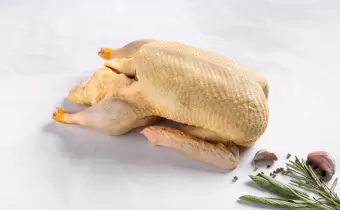 Ente