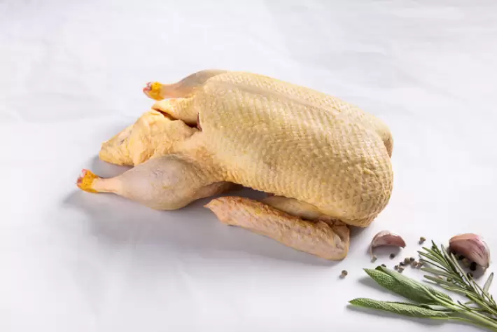Ente