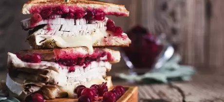 Grilled-Cheese Sandwich mit Pute oder Gans