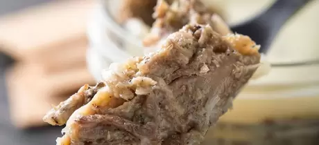 Gänse Rillette