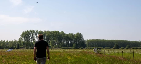 Weidevögel – Ein lebendiges Zeugnis der Natur