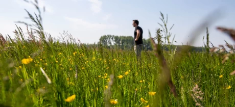 Kein Stickstoffproblem, dank guter Kreislaufwirtschaft der Landwirte